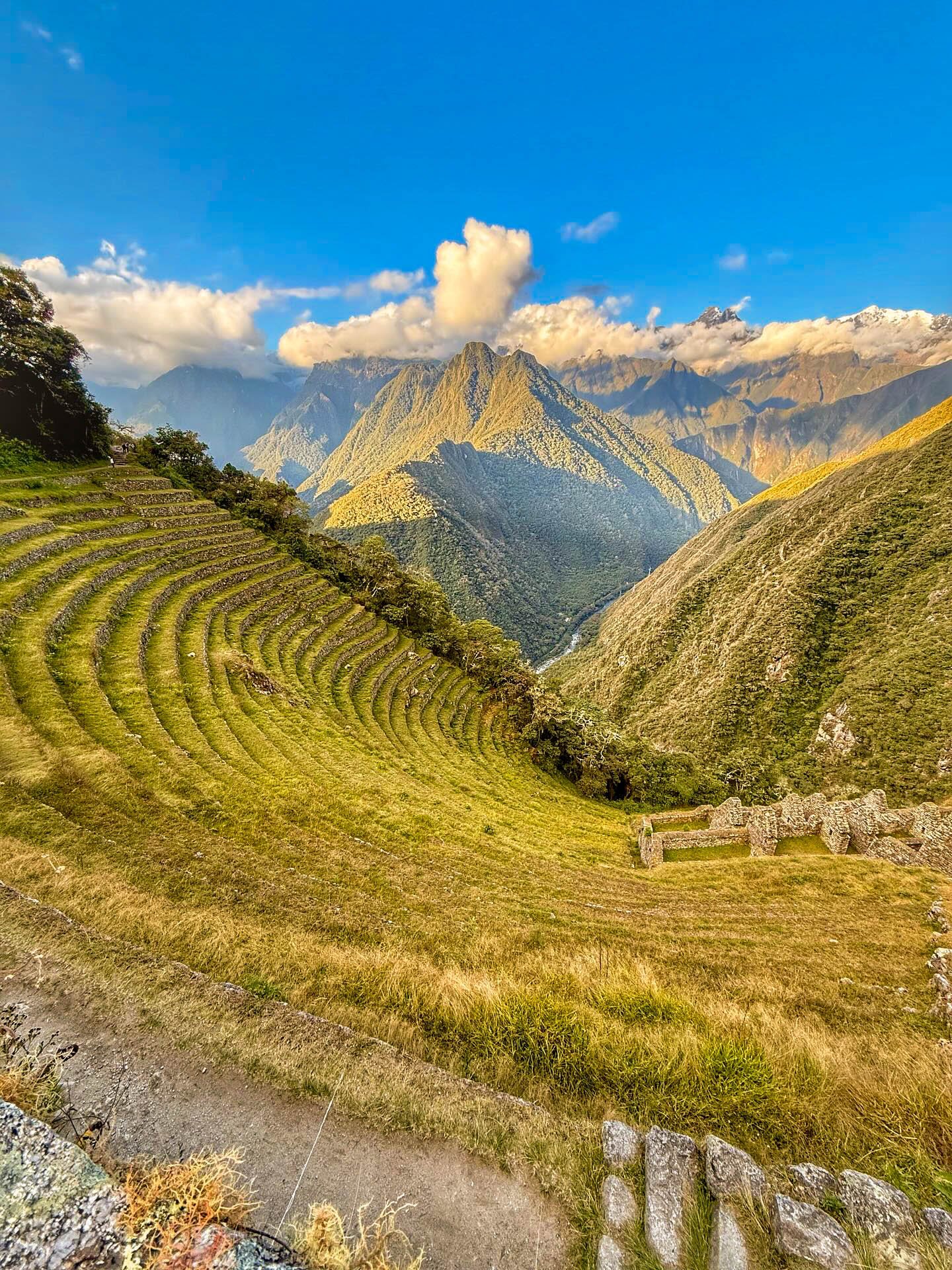 INCA T 1
