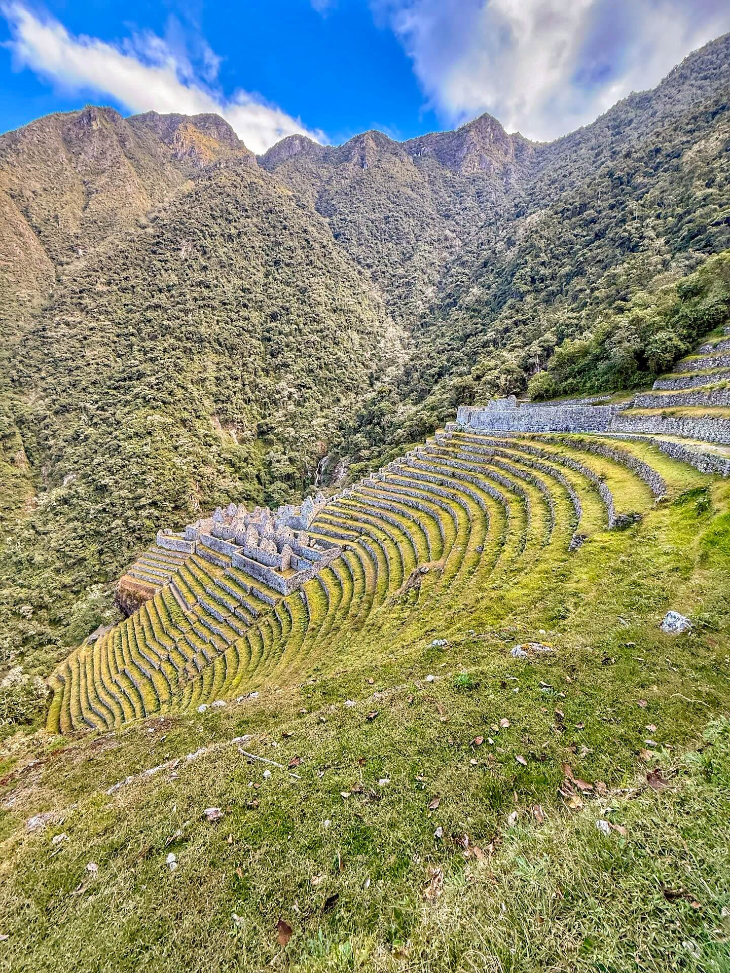 INCA T 2