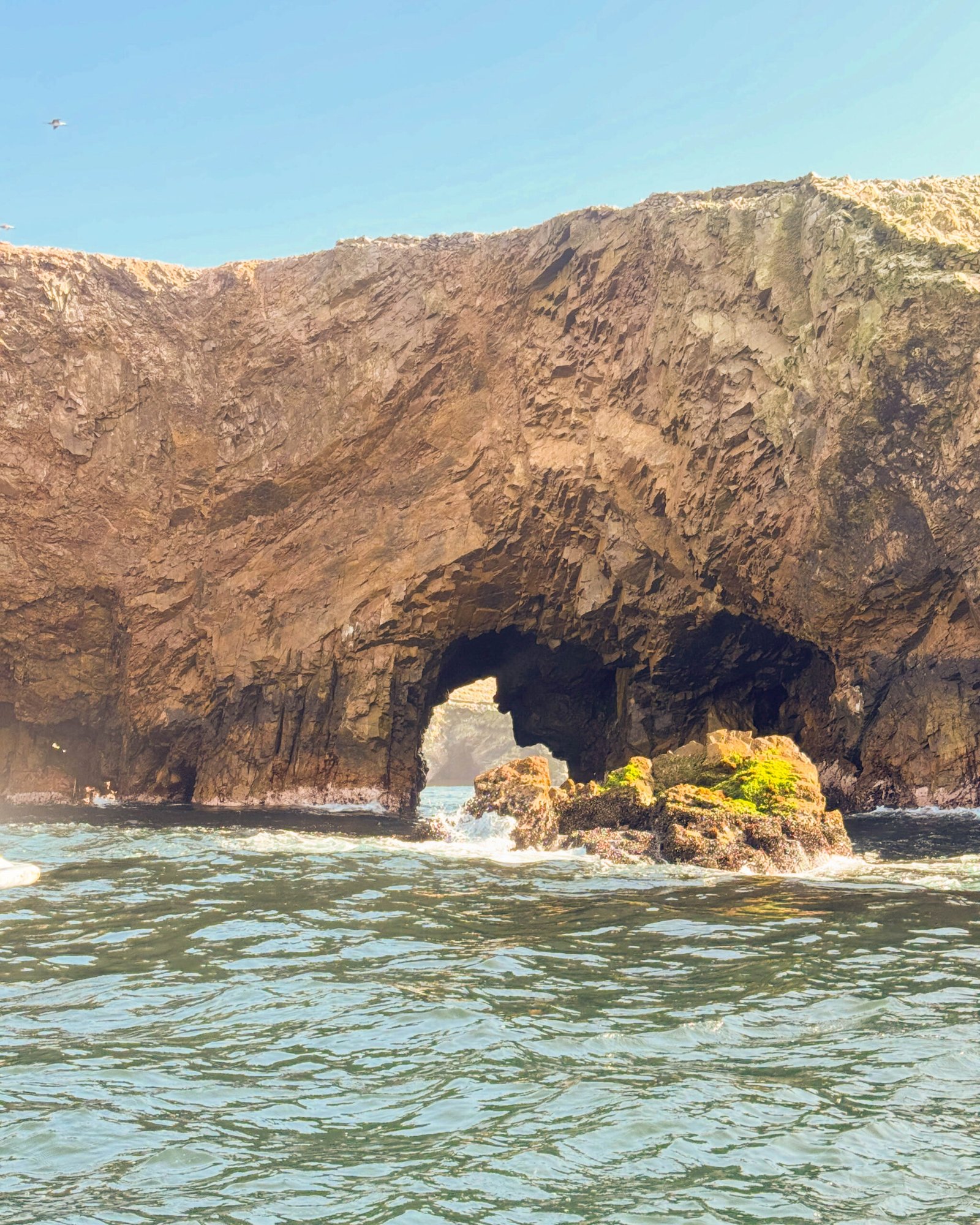 PARACAS 1
