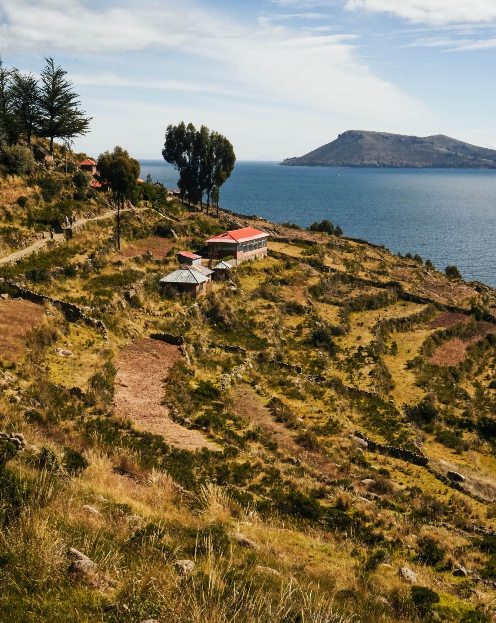 PUNO 9