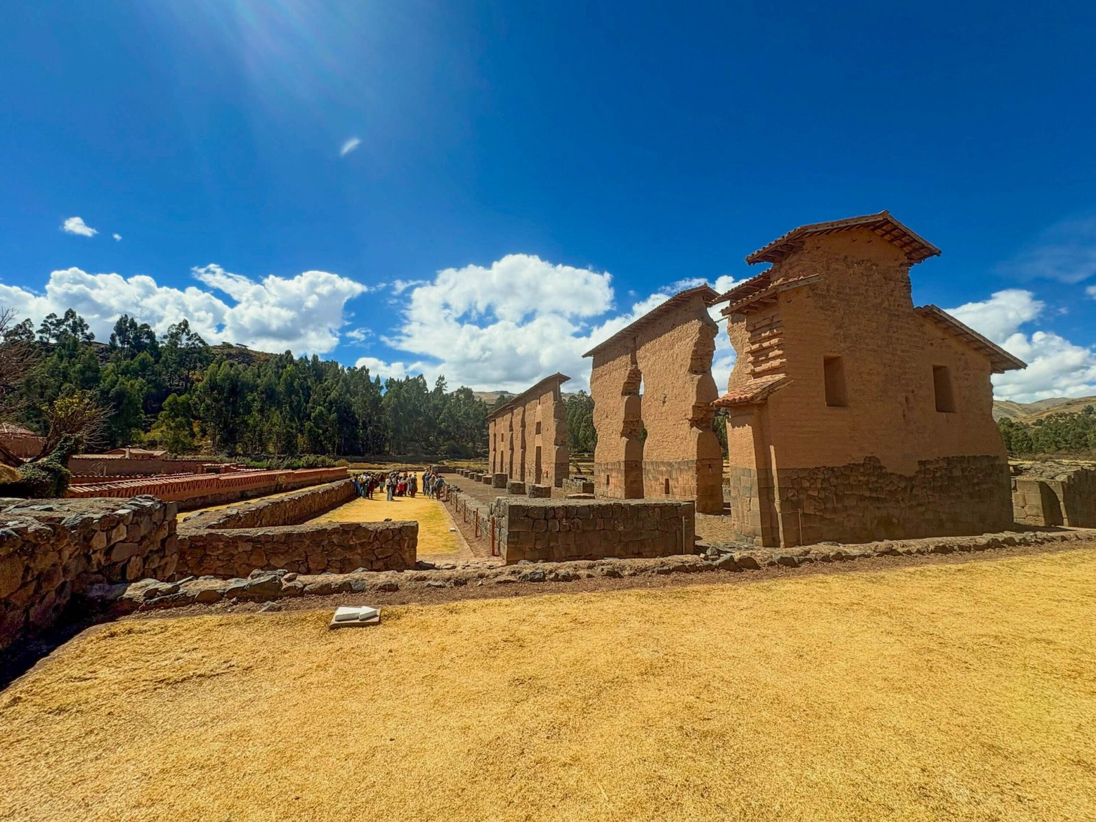 RAQCHI 3