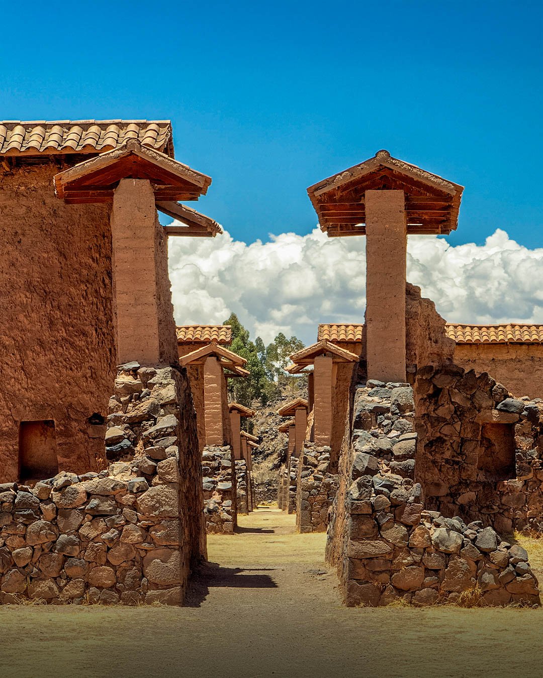 RAQCHI 4