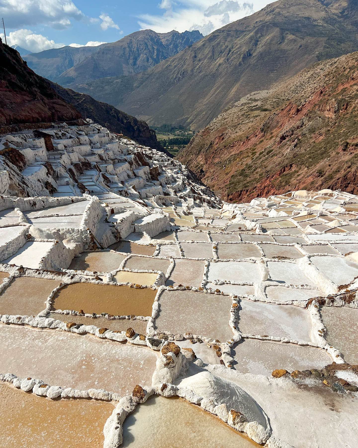VALLE 11