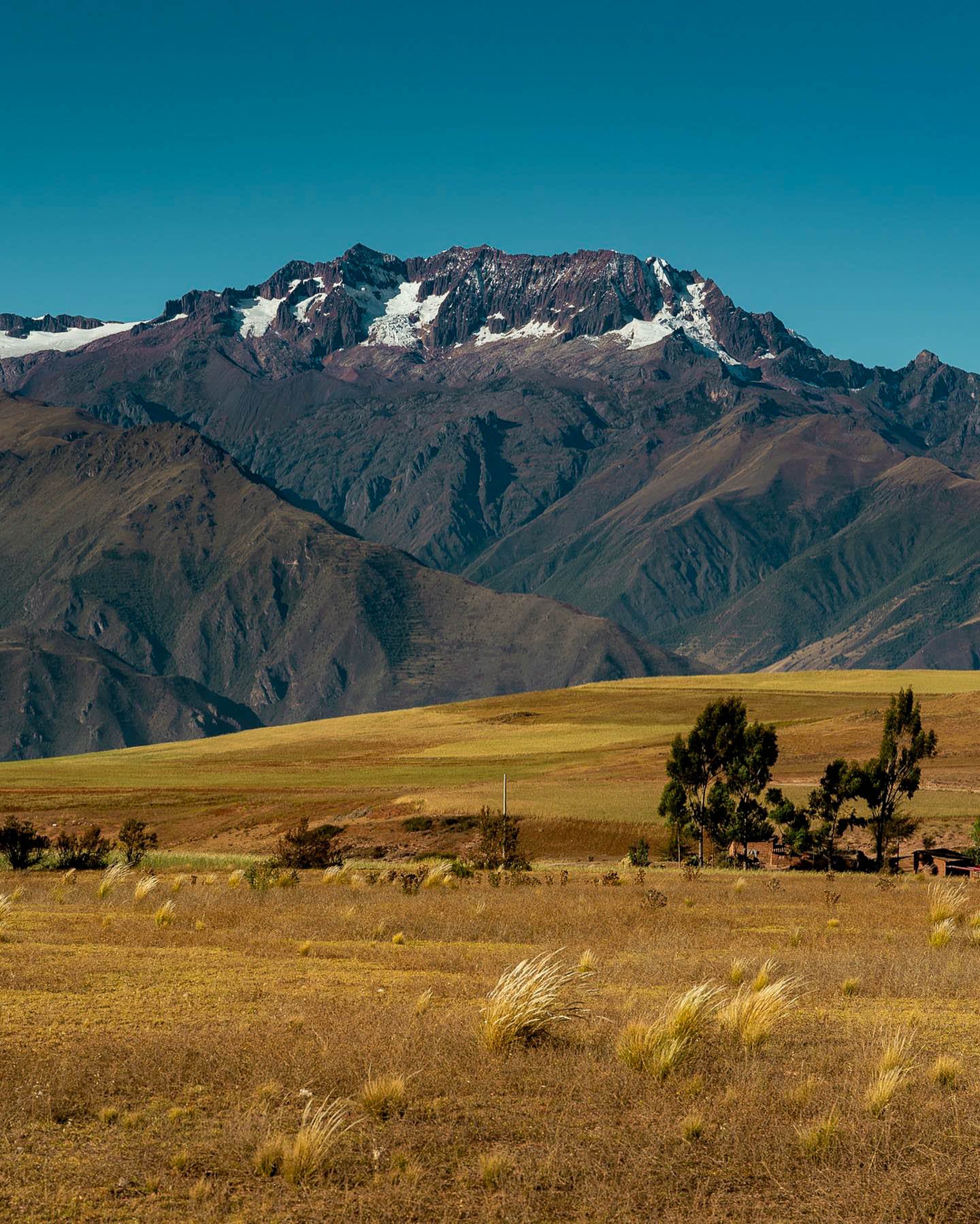 VALLE 12
