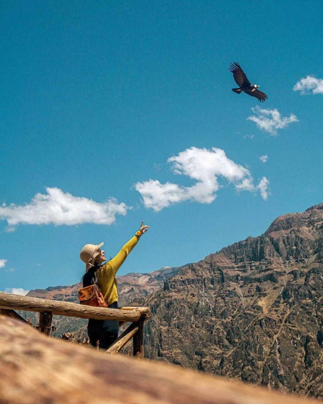 cañon de colca arequipa