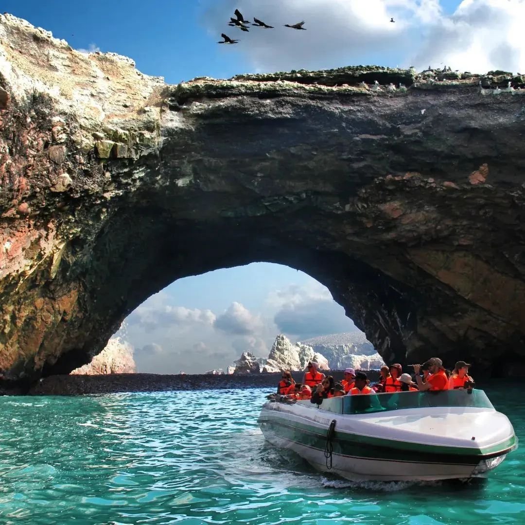paracas islas ballestas