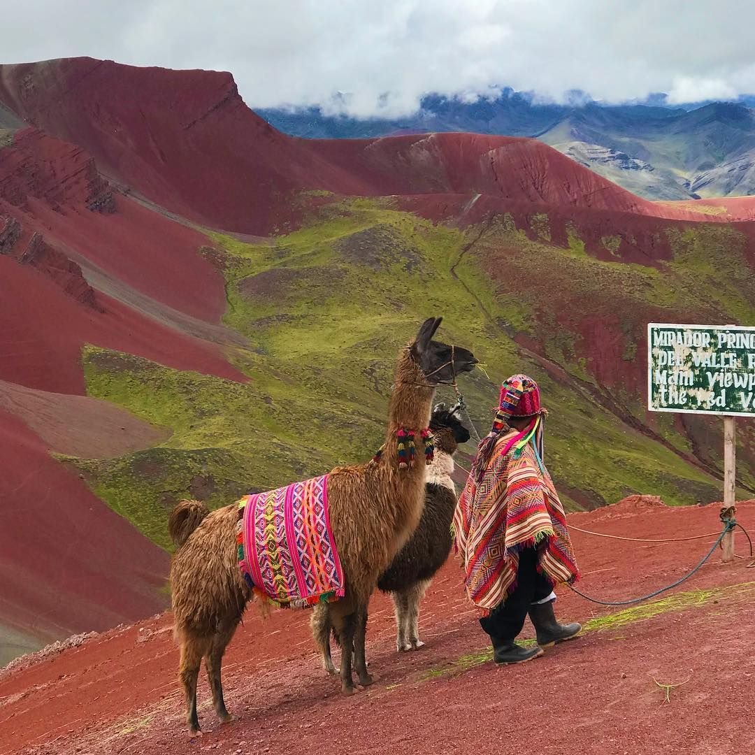 valle rojo llamas